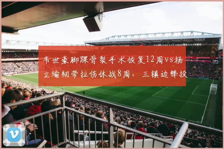 韦世豪脚踝骨裂手术恢复12周vs杨立瑜韧带拉伤休战8周，三镇边锋投资回报率遭质疑
