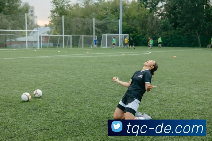多终端兼容